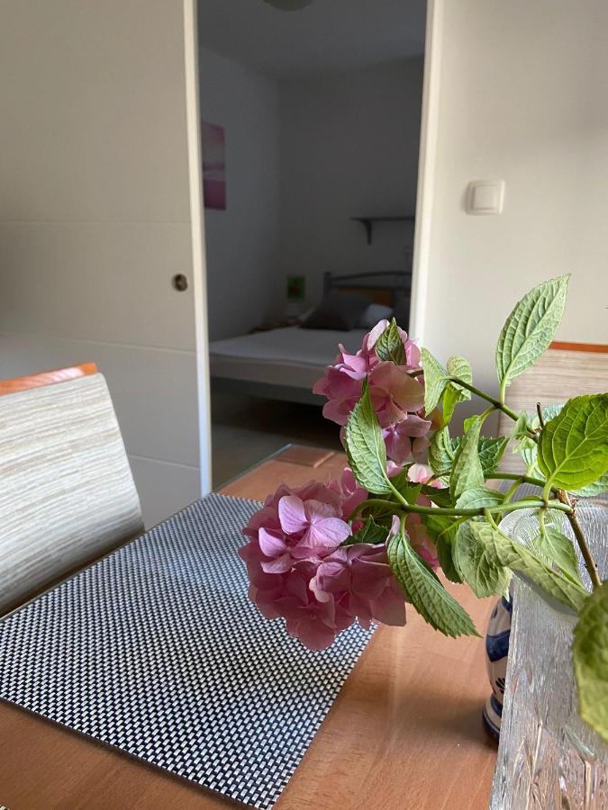 Duje & Roko Apartments Šibenik Exteriér fotografie