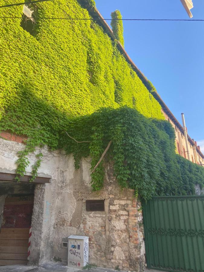 Duje & Roko Apartments Šibenik Exteriér fotografie
